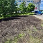 Проект РЕМОНТ ПОРЫВА ВОДОПРОВОДА КОТОРЫЙ ВСЕ ОТКАЗЫВАЛИСЬ ДЕЛАТЬ | Мини слайд 9